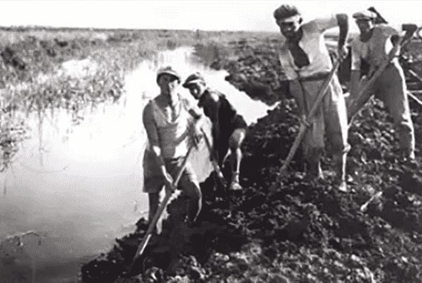 Jews draining swamps in Israel